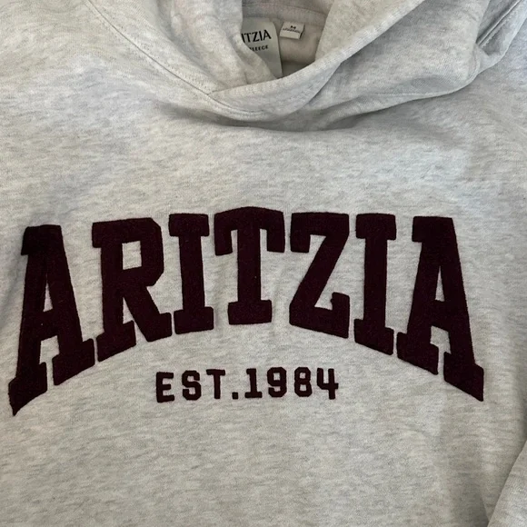 Aritzia Perfect Fit Hoodie - Picture 5 of 8